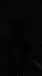 淫语对话，操到母狗受不了